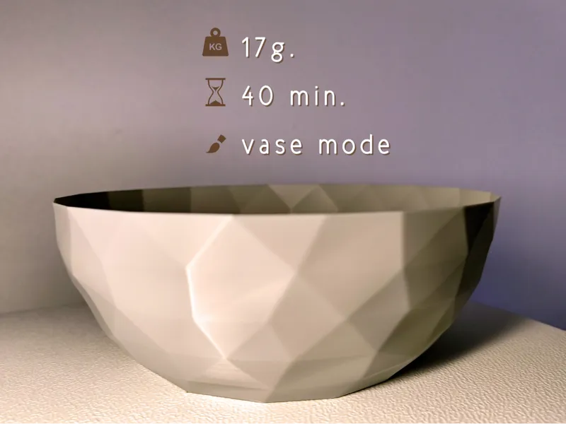 Bol vide poche rapide et design