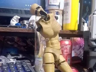 Pillar chase 2 Recode Rosemary articulated figure