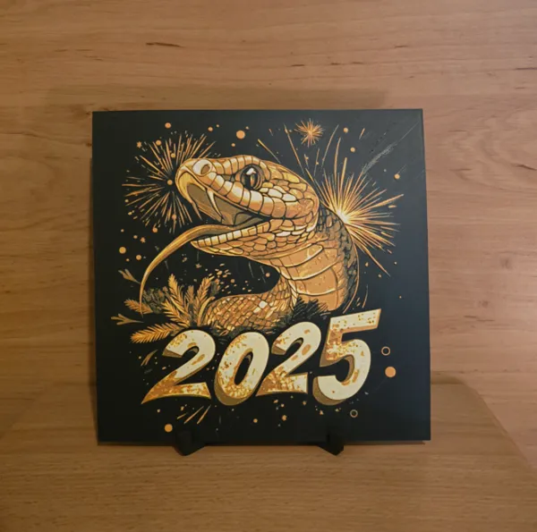 https://makerworld.bblmw.com/makerworld/model/US6eef15eed6eceb/design/2025-01-08_13a6fff9595c5.jpg