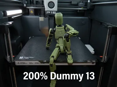 Perfect 200% Dummy 13