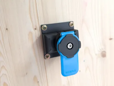 Quad lock mount 