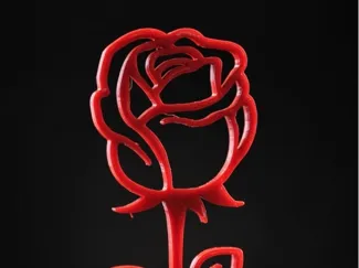 Rosa con Corazón personalizado con nombre 