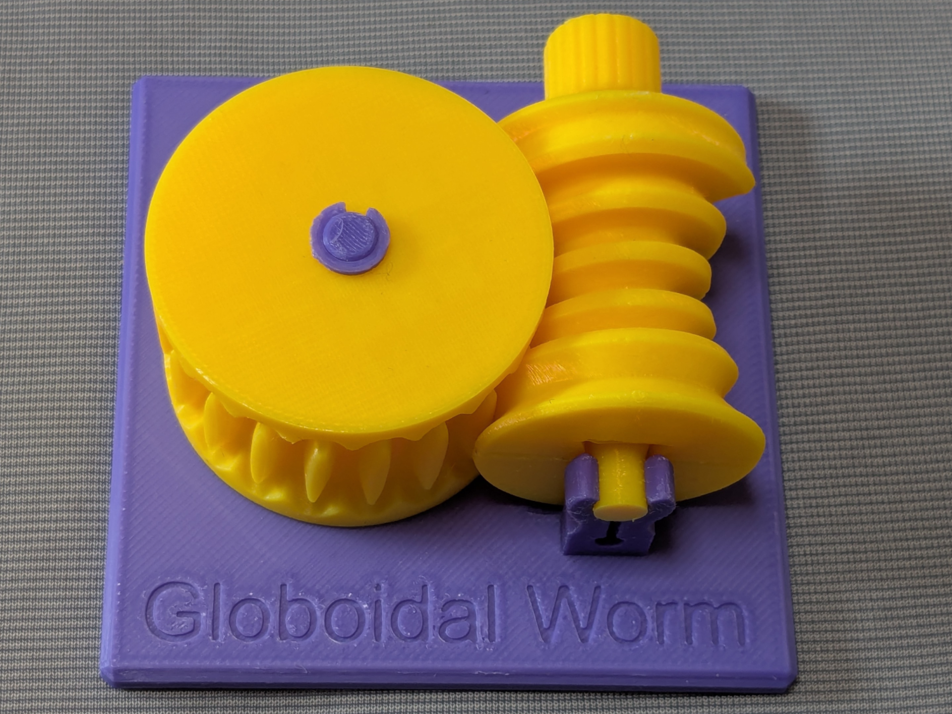 Globoidal Worm and Wheel - Educational Model