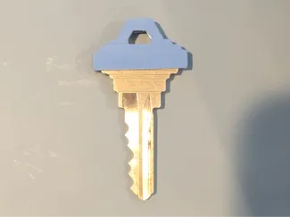 Schlage Style Key Cap / Cover (home sized)