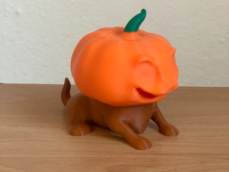 Sphinx Pumpkin Dog for Halloween