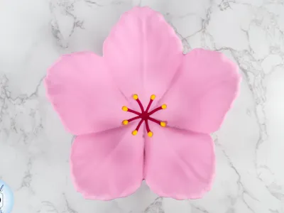 Sakura Bowl