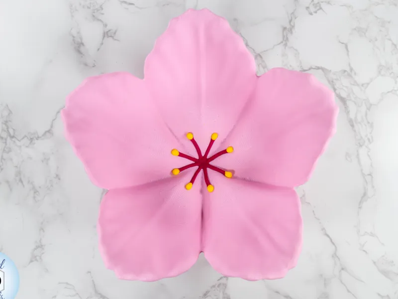 Sakura Bowl