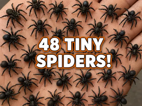 Modelo para impresión 3D: 48 Tiny Spiders – Halloween Decoration — referencia de MakerWorld