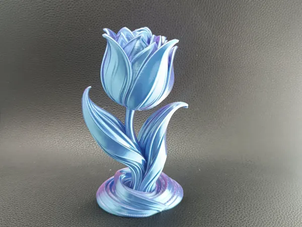 https://makerworld.bblmw.com/makerworld/model/US6f0474624be4db/design/f10df093080f92fc.jpg