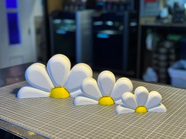 https://makerworld.bblmw.com/makerworld/model/US6f057adea8e378/design/d3fe69f54f809a34.jpeg