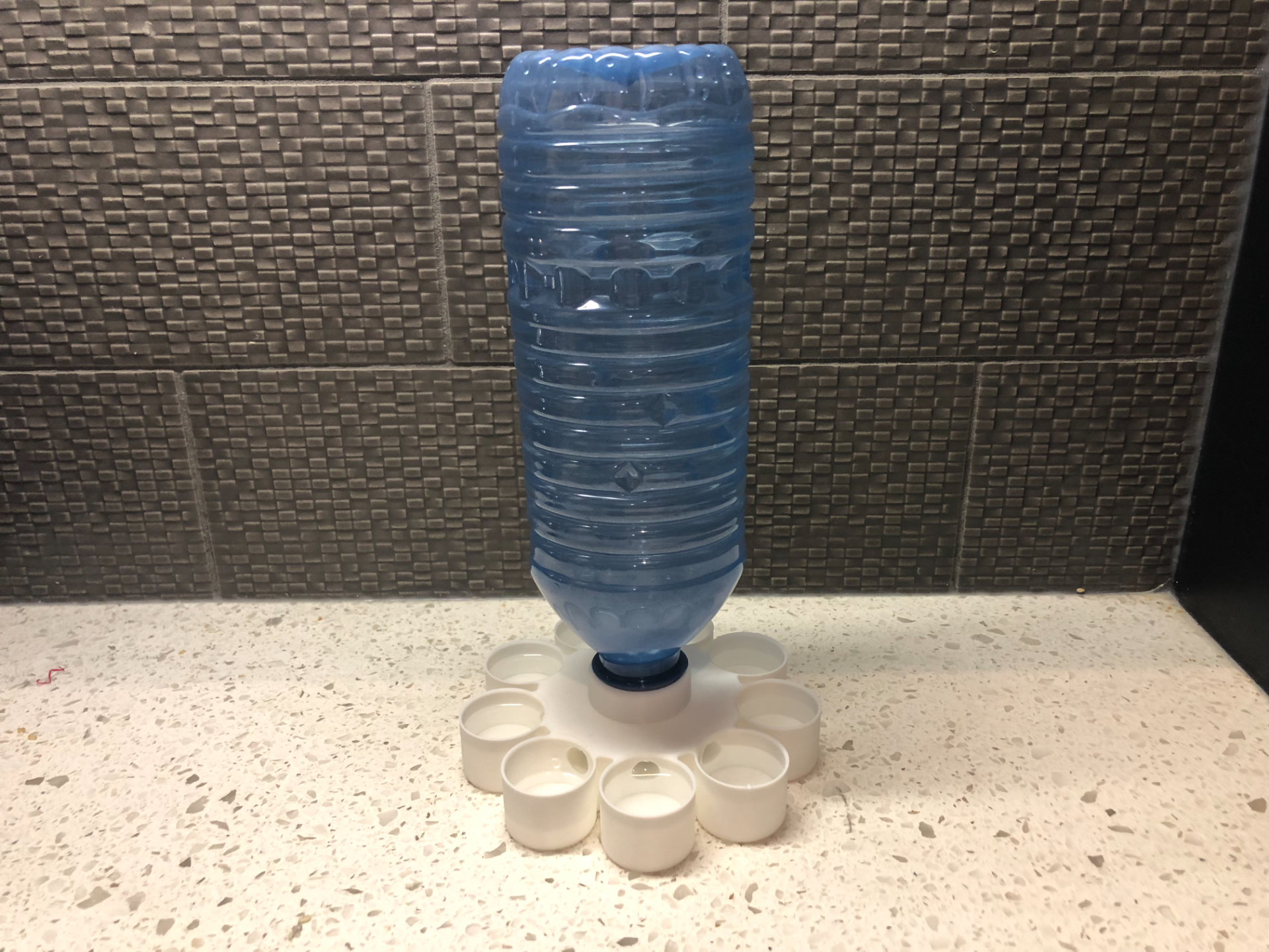 Quail and Chick Water Feeder (9 spots)