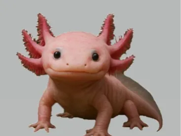 Ajalote