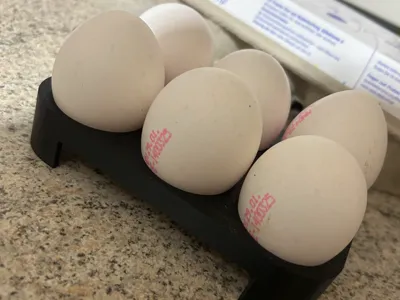Minimalist 6-Egg Holder
