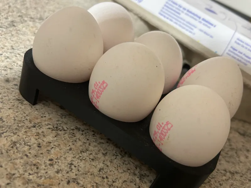 Minimalist 6-Egg Holder