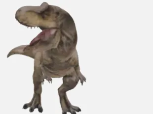 T rex