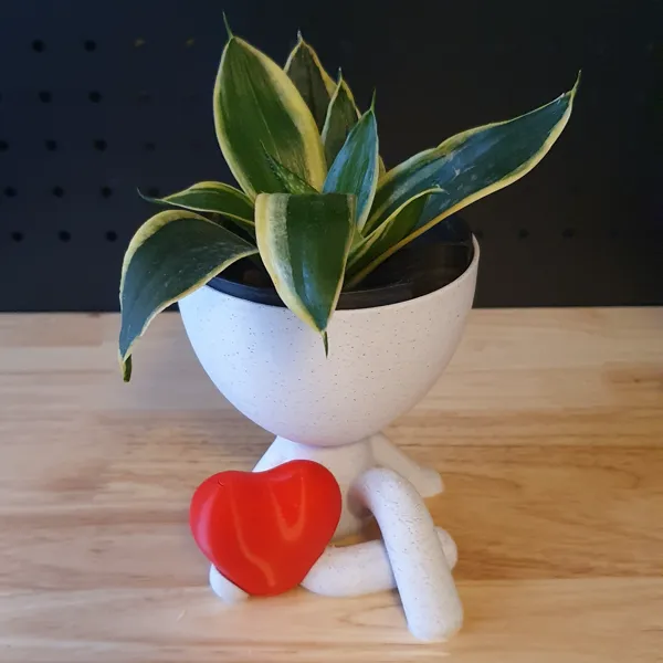 https://makerworld.bblmw.com/makerworld/model/US6f131d1f7fa33f/design/2024-01-07_7d8580470e26a.jpg