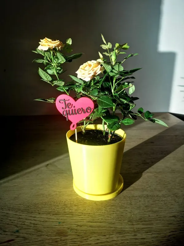 https://makerworld.bblmw.com/makerworld/model/US6f15008bb34b0d/design/2024-02-22_b4e38c9aa7372.jpg