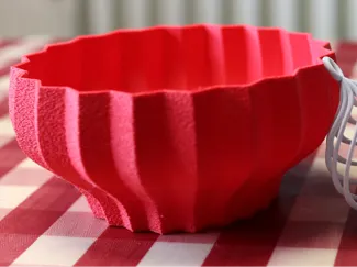 Poinsettia inspired bowl
