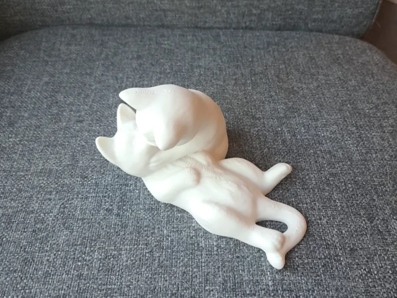 Cats in love