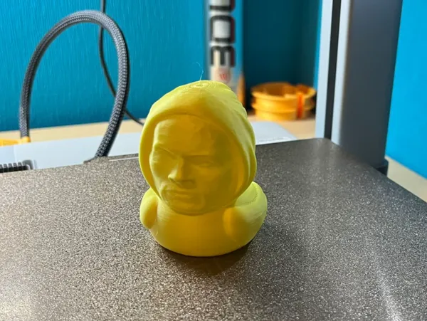 https://makerworld.bblmw.com/makerworld/model/US6f1e78390c72b2/design/2024-12-22_2b16f0d7c689d.jpg
