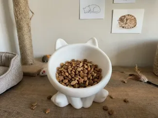 Cute Cat Bowl / Decorative Paw Dish