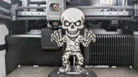 Skeleton Figure