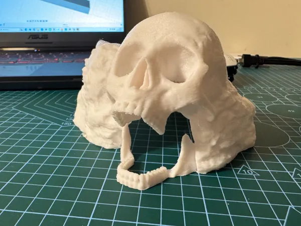 https://makerworld.bblmw.com/makerworld/model/US6f30e36fd57a92/design/2025-04-21_10dd7366f1b2d8.jpeg