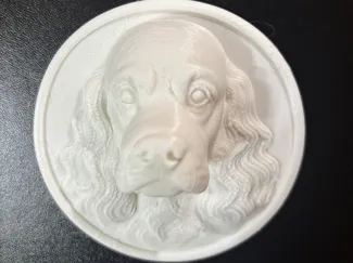 Cocker Spaniel