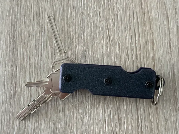 https://makerworld.bblmw.com/makerworld/model/US6f37315b3f1257/design/2024-07-31_cb68d0e5c04.jpeg
