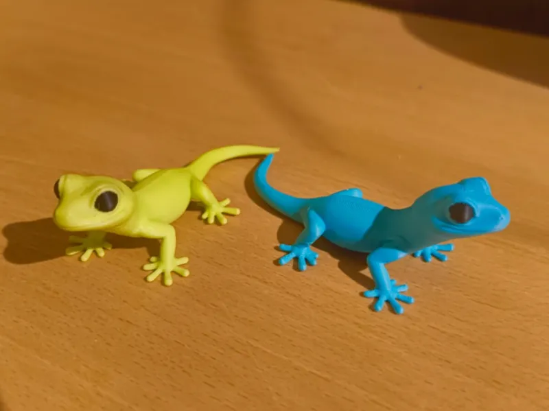 Geko (Lizard)