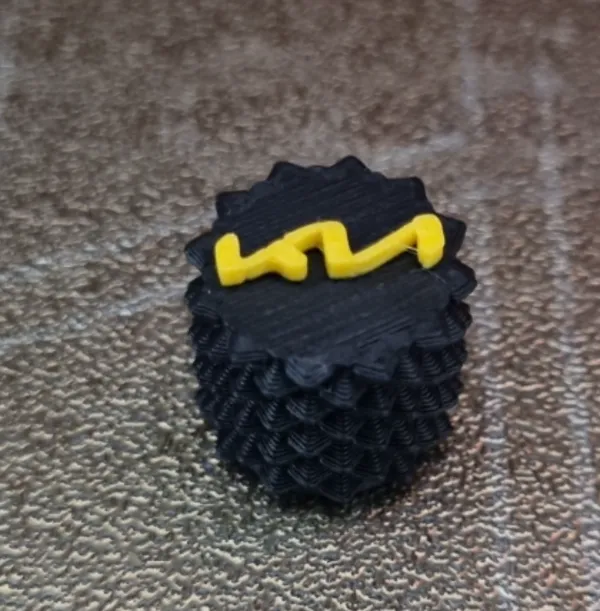 https://makerworld.bblmw.com/makerworld/model/US6f389ad8f57b33/design/2024-12-31_457842c08ec35.jpg