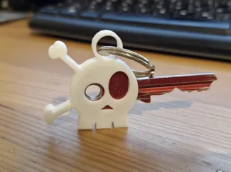 Skull Key Cover