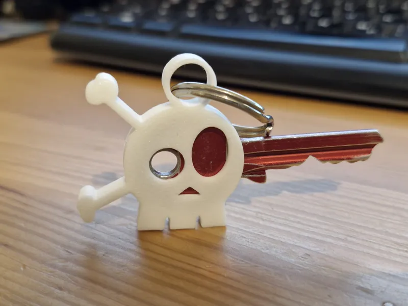 Skull Key Cover
