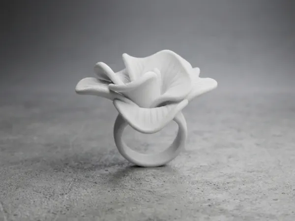 https://makerworld.bblmw.com/makerworld/model/US6f3ed386ba924/design/84f9f5035d37e0ea.png