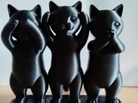 Trio de chats sages — photo 2