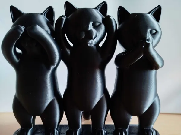 Trio de chats sages