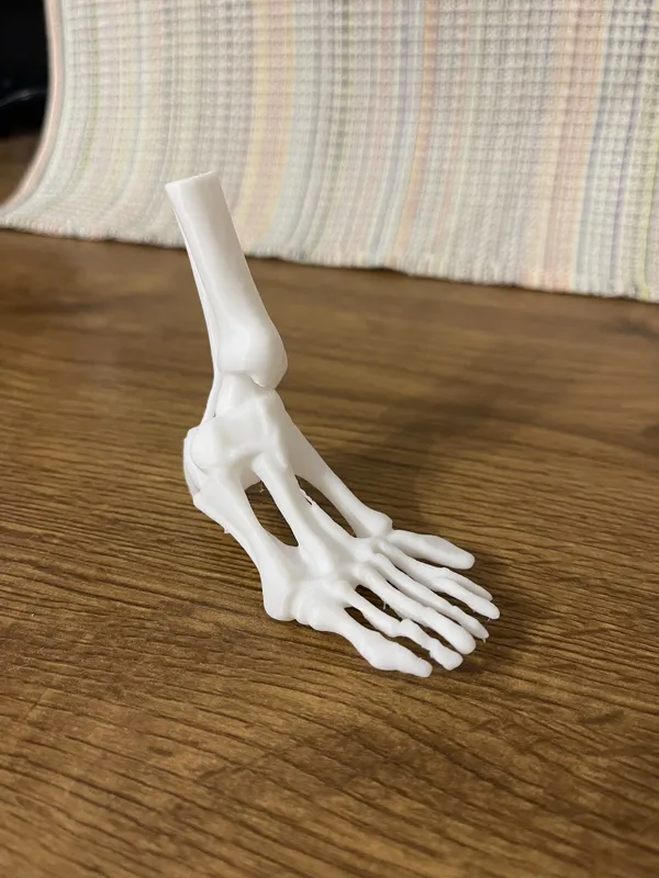 https://makerworld.bblmw.com/makerworld/model/US6f405fa12c984c/design/2024-10-04_1ngv6937gplx.jpeg