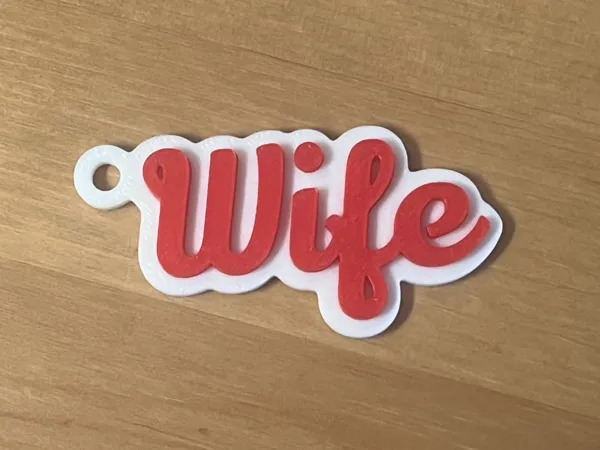 https://makerworld.bblmw.com/makerworld/model/US6f45c20adc3e01/design/2025-05-26_5a7fd391cc4818.jpeg