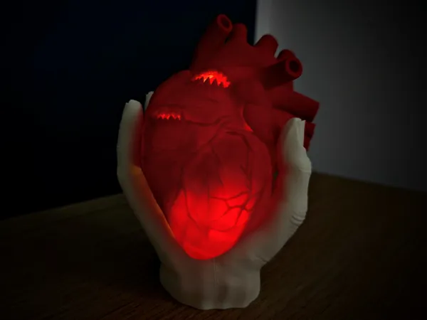 https://makerworld.bblmw.com/makerworld/model/US6f4a082258487c/design/2025-09-06_d06f20c27843e8.jpg