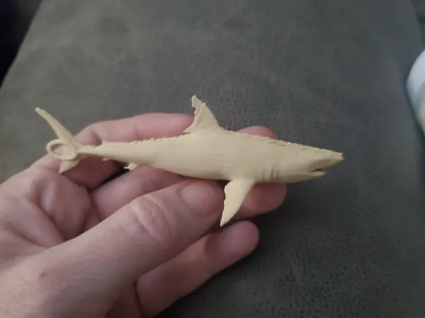 https://makerworld.bblmw.com/makerworld/model/US6f4b28209fbf31/design/2025-03-04_e7973edf7519f.jpg