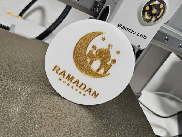 https://makerworld.bblmw.com/makerworld/model/US6f512a4f1f4007/design/2025-03-05_eb25798b3d011.jpg