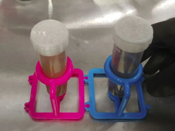 https://makerworld.bblmw.com/makerworld/model/US6f54eeb3319f42/design/2024-11-24_cf0f9d1edf194.jpg