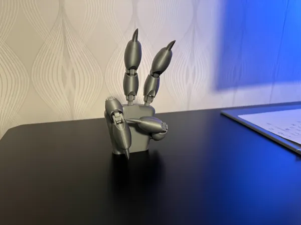 https://makerworld.bblmw.com/makerworld/model/US6f568418f59094/design/2024-11-18_f6ca62db43e5a.jpg