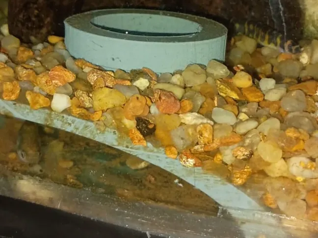 Aquarium Cave Hideout – Buried Tunnel for Fish