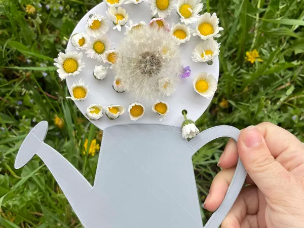 https://makerworld.bblmw.com/makerworld/model/US6f593611f474af/design/2025-04-17_716d79a55d60b.jpg