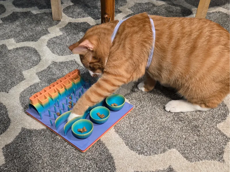 Cat treat activity tray