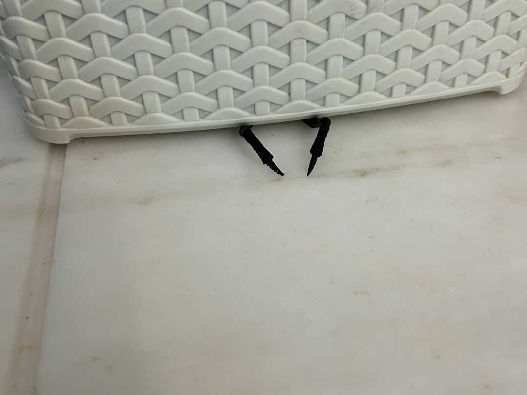 The Insect under the plate