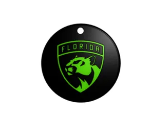 Florida panthers logo