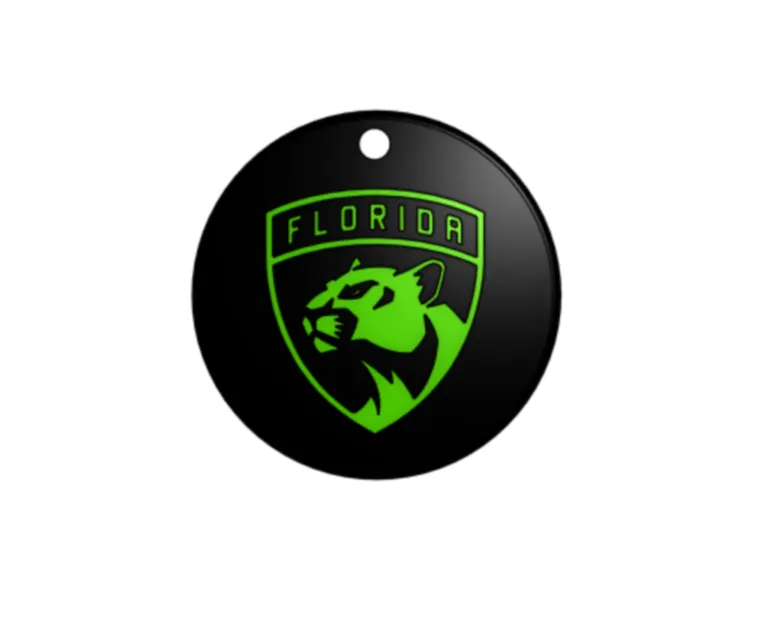 Florida panthers logo 