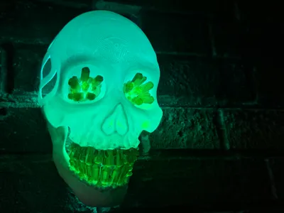 skull stone wall